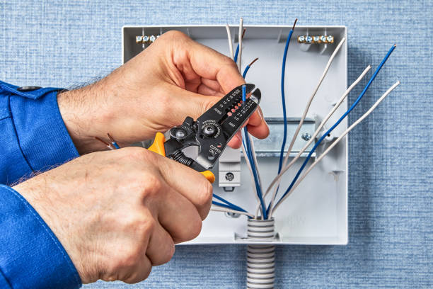 Best Electrical Panel Upgrades  in Jarrell, TX